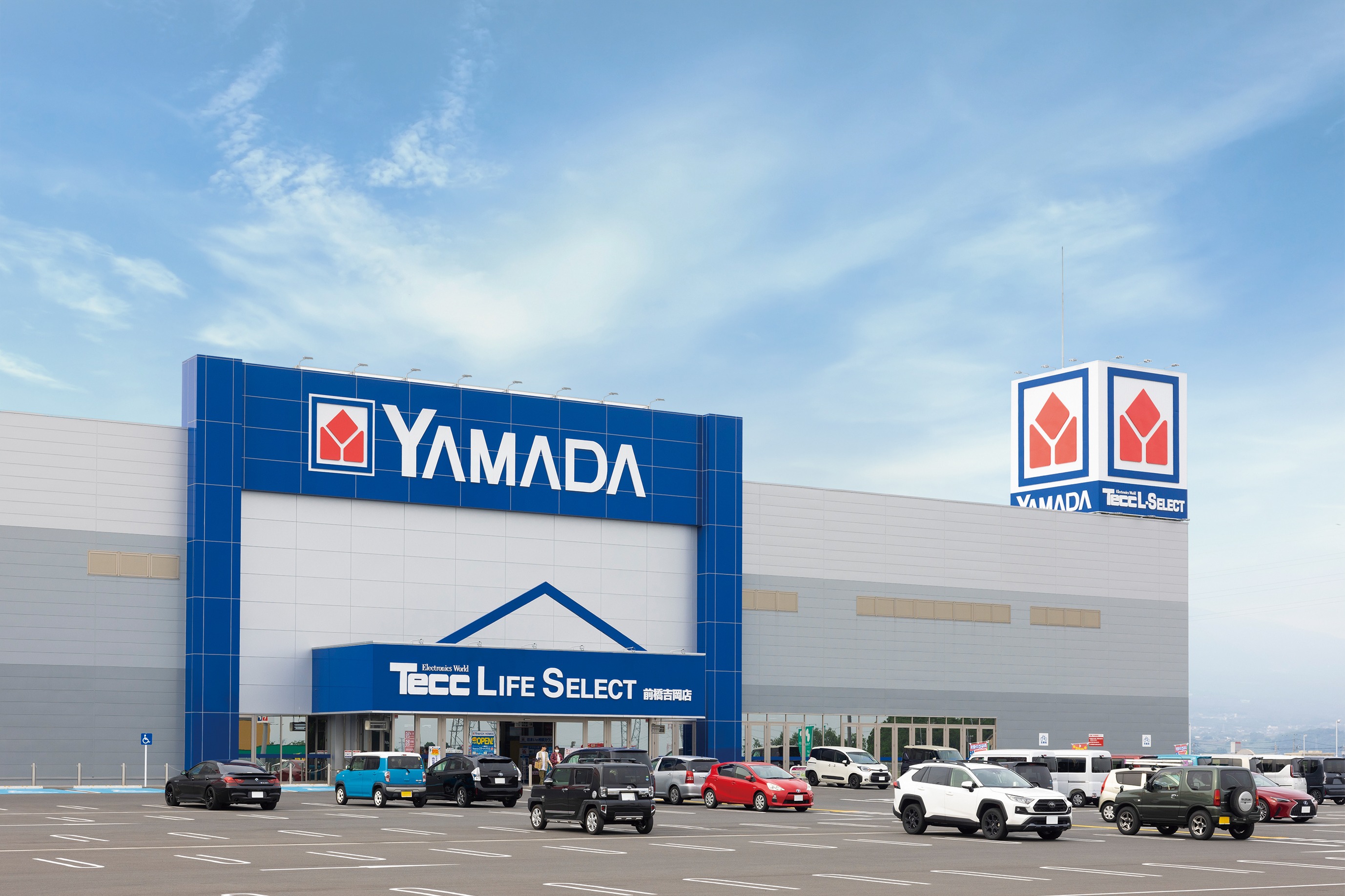 株式会社ヤマダホールディングス