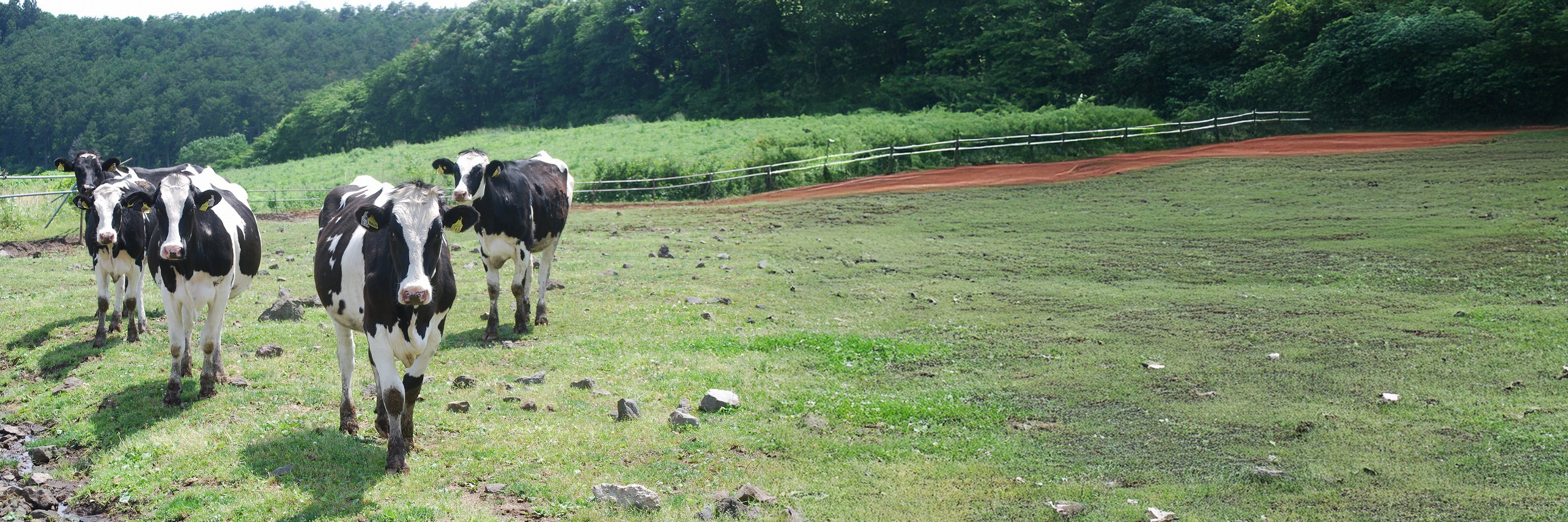 森永乳業株式会社