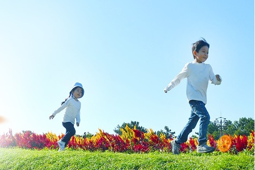 カンロ株式会社