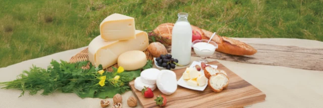 雪印メグミルク株式会社