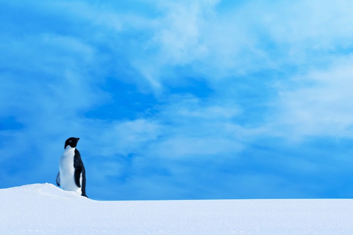 ホシザキ株式会社