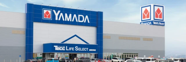 株式会社ヤマダホールディングス