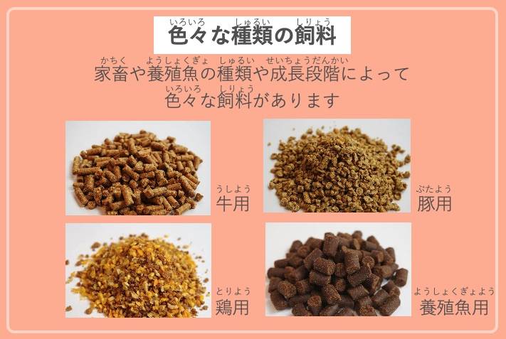 画像：業種：会社が行う事