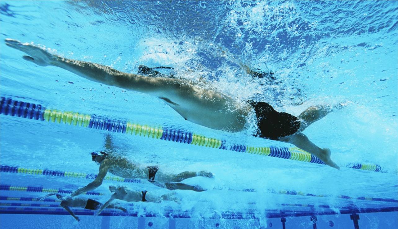 画像：業種：会社が行う事