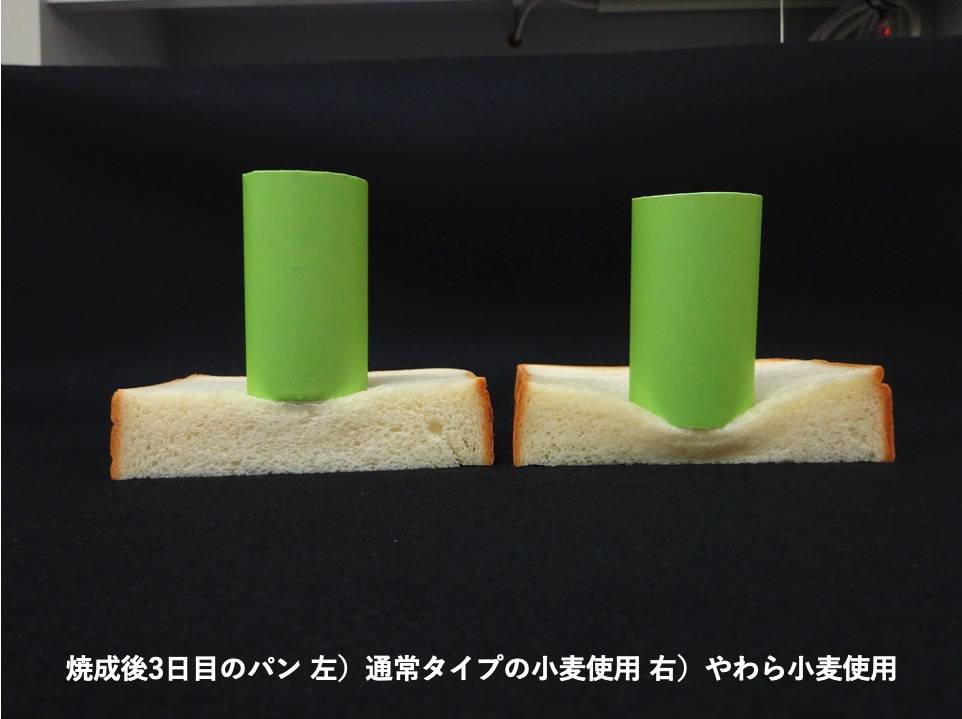 サステナビリティ画像1:株式会社ニップン