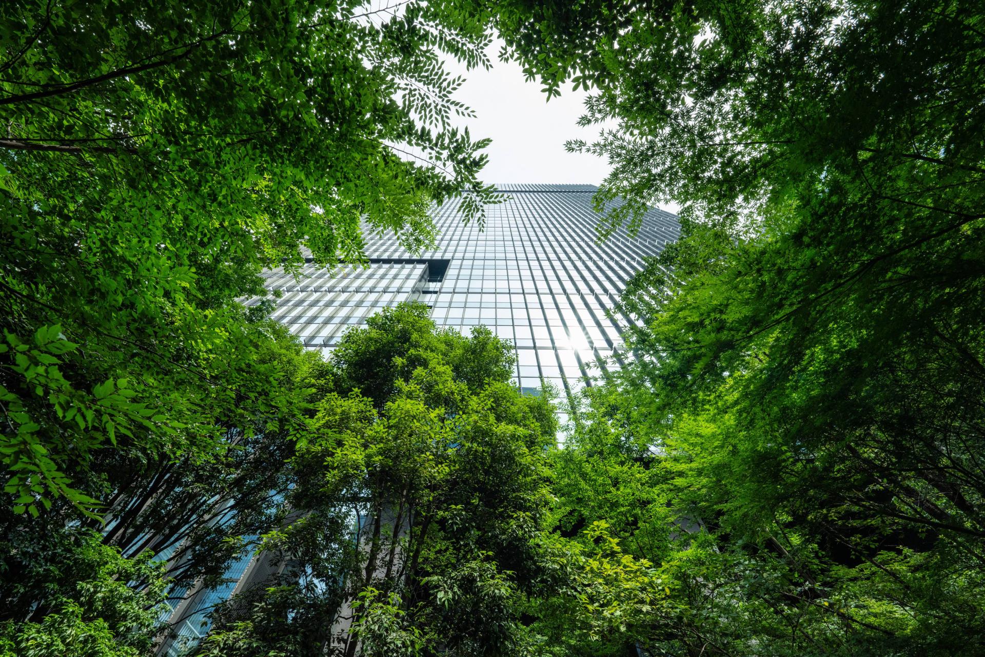 サステナビリティ画像1:東京建物株式会社