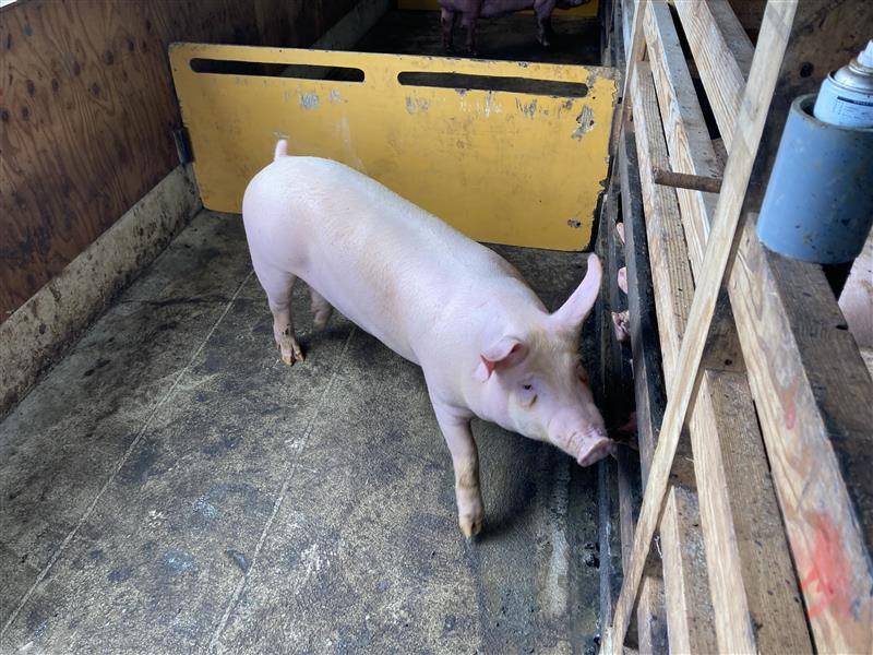 サステナビリティ画像4:株式会社トリドールホールディングス